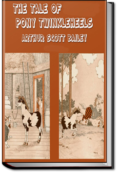 The Tale of Pony Twinkleheels | Arthur Scott Bailey The Tale of Pony Twinkleheels | Arthur Scott Bailey
